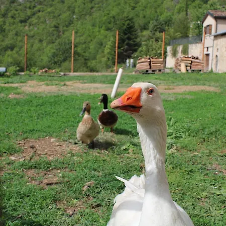 A Casa Dei Nonni * San Demetrio ne' Vestini
