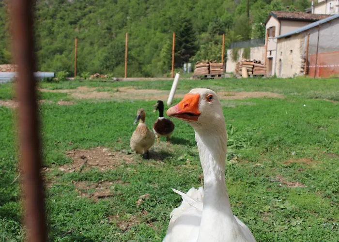 A Casa Dei Nonni * San Demetrio ne' Vestini